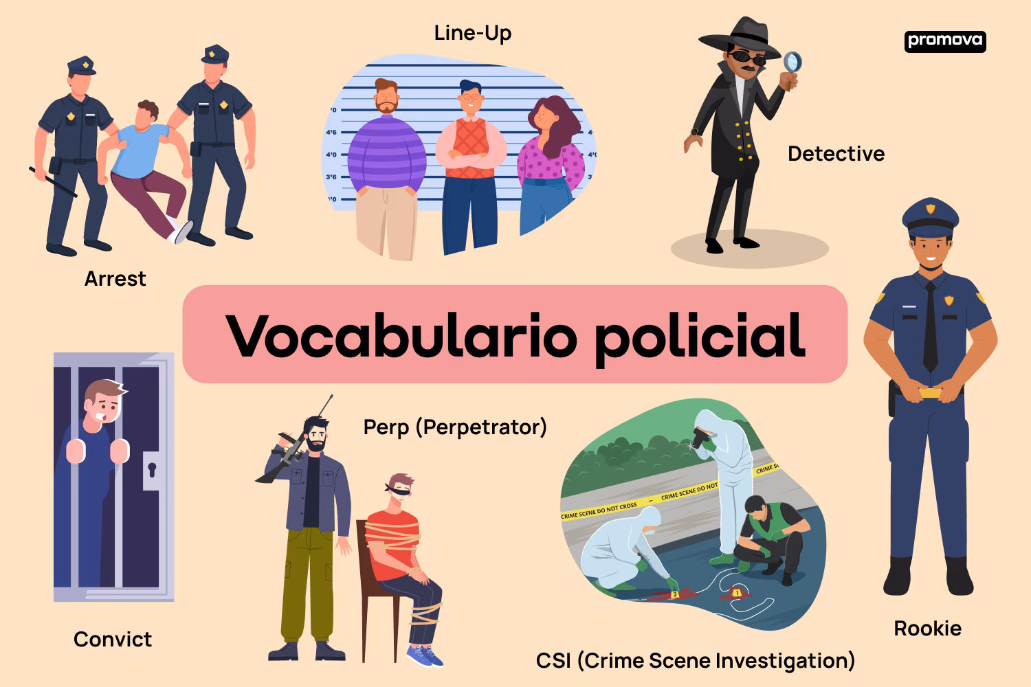 ¿Cuál es el sustantivo de policía?