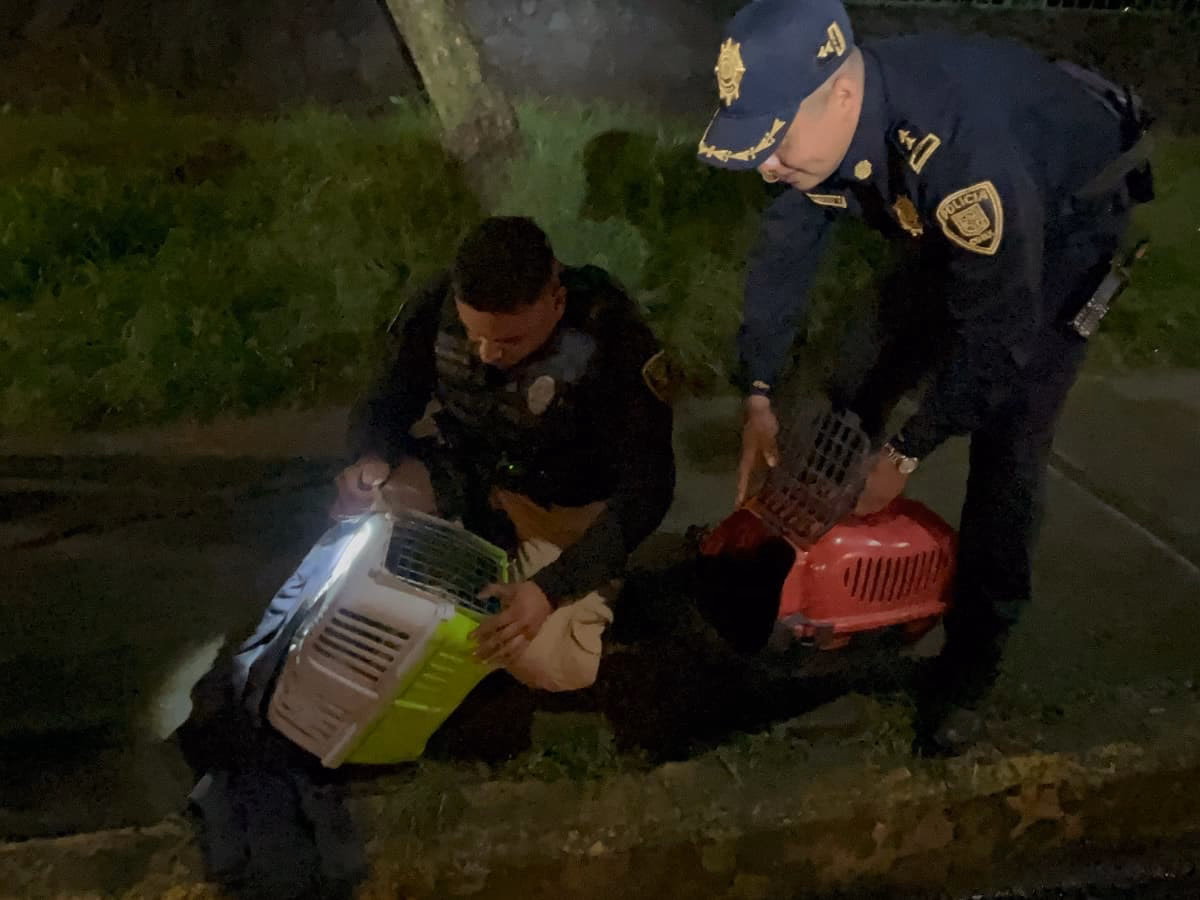 ¿Cuántos policías acudan a la manifestación?