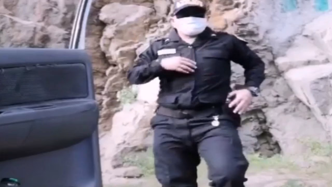 ¿Dónde se baila el gato?