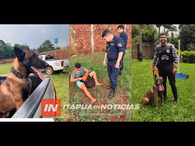 ¿Cómo se llama el perro que juega a los ladrones y policías?