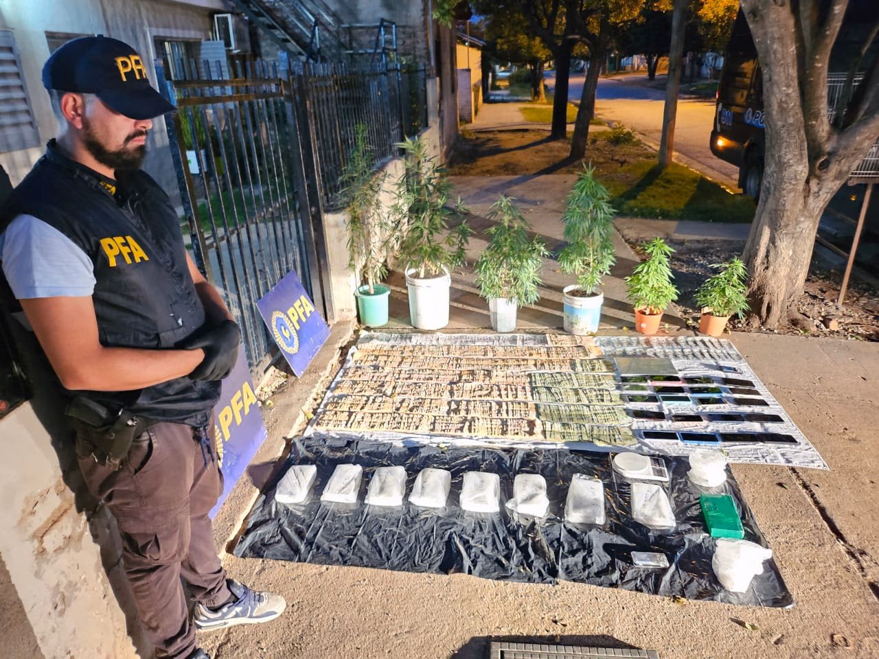 ¿Por qué las bandas criminales asociadas con el narcotráfico quieren apoderarse del estado?