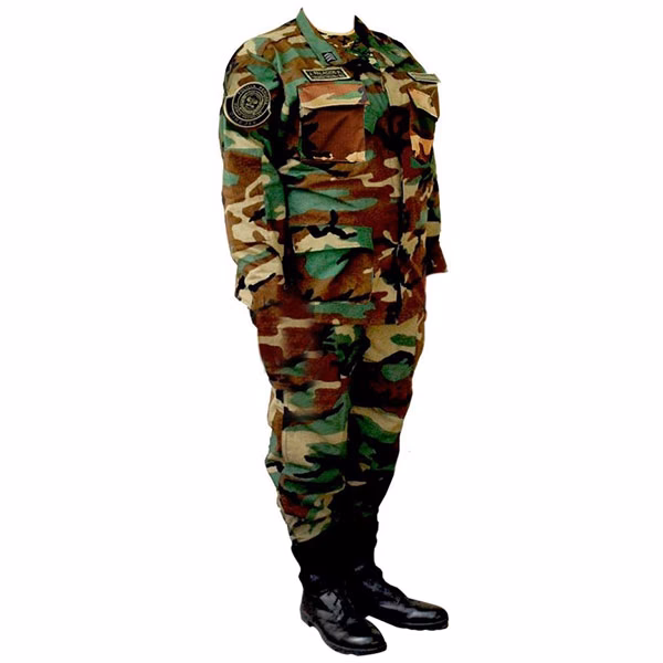 ¿Qué pasó con el coche camuflado?