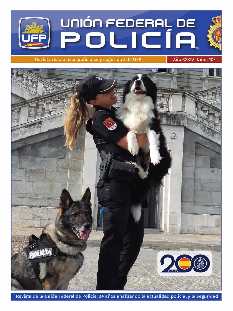 ¿Por qué los policías no sabían qué tenían que buscar en el carro durante la requisa?