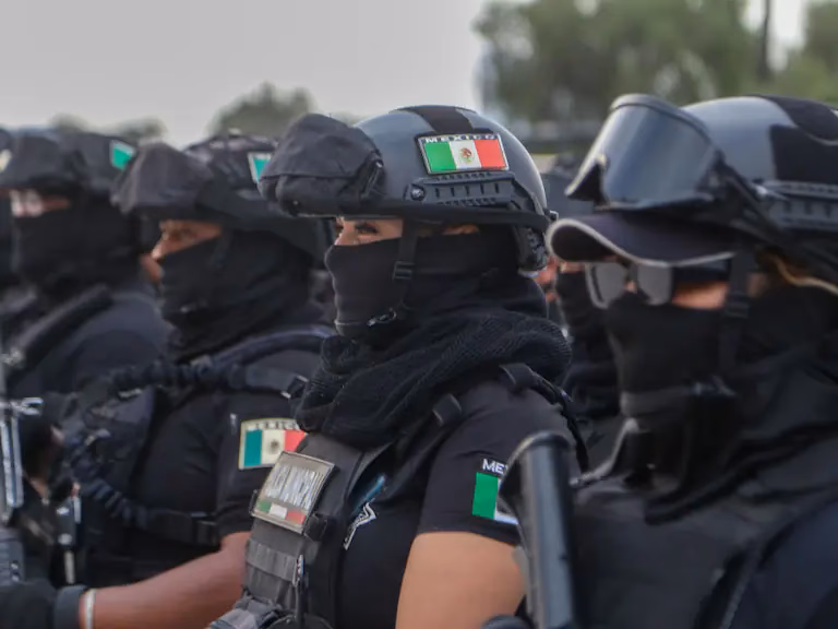 ¿Cuál es la función de la Policía Ministerial?