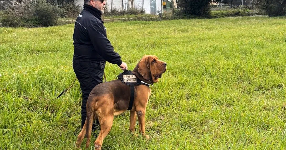 ¿Quién era el dueño de un perro policía?