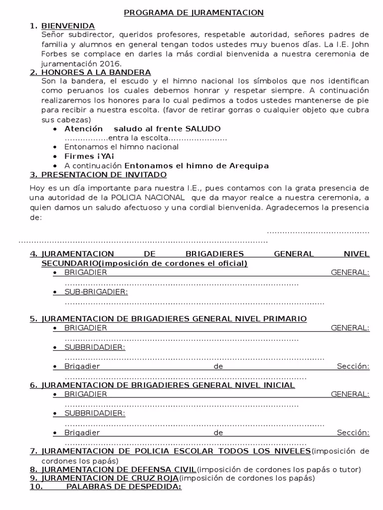 ¿Por qué es importante la creación de las brigadas de Protección Escolar en Juliaca?