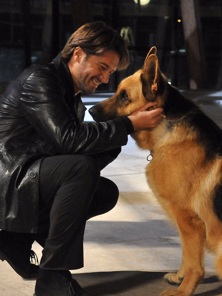 ¿Cuántos capítulos tiene Rex un policía diferente?