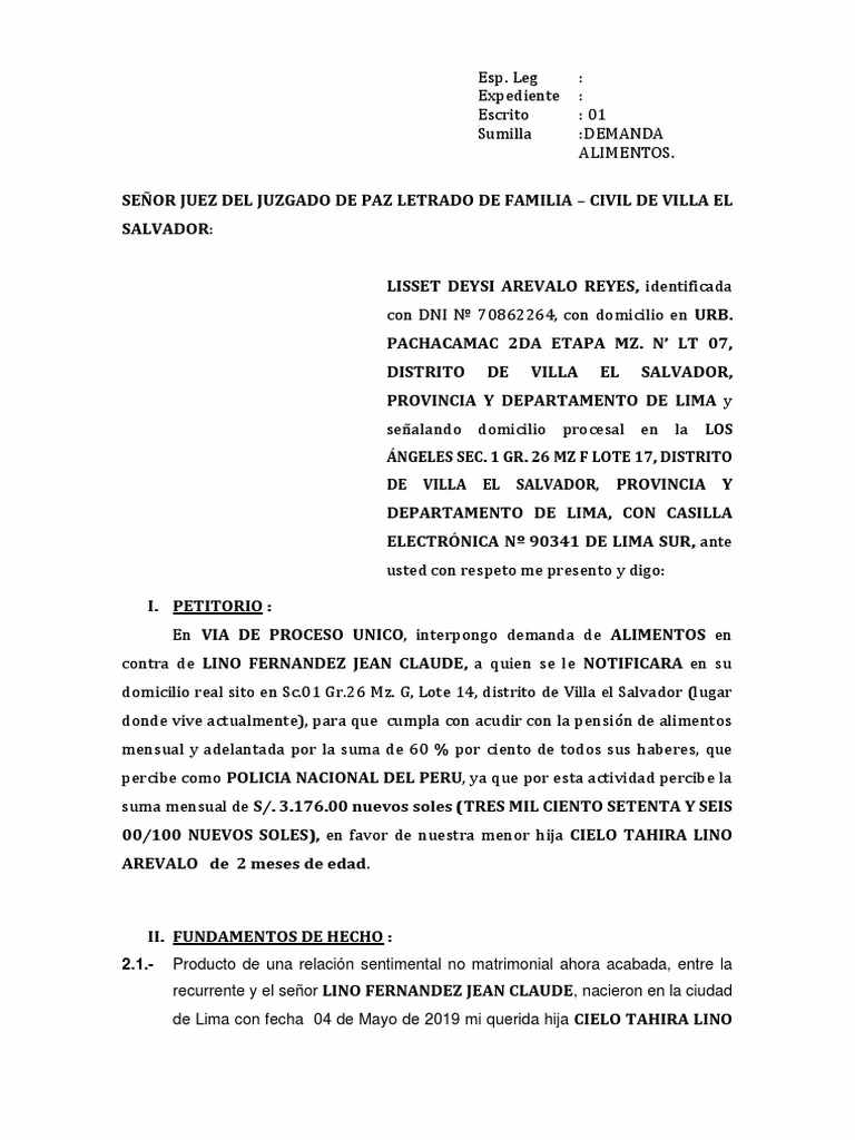 ¿Cómo interponer una demanda de alimentos sin abogado?