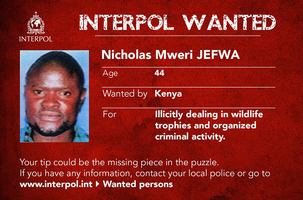 ¿Cómo mantener la calma y no desesperarse si estoy detenido por la policía?