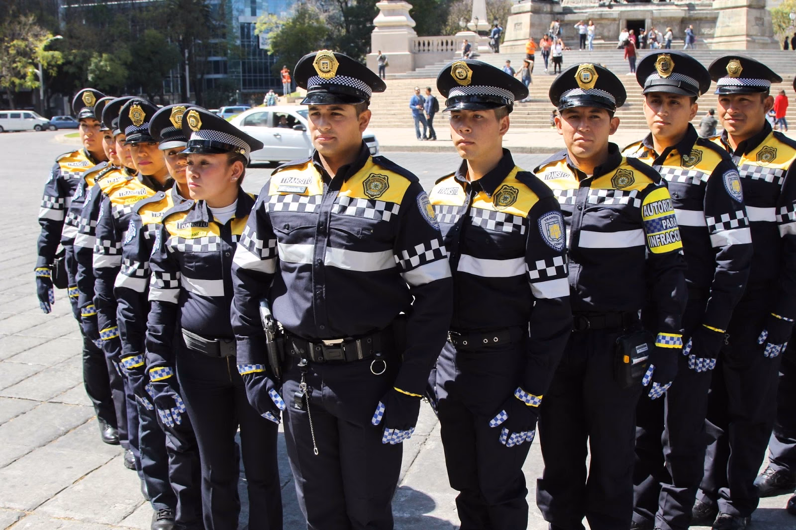 ¿Qué es el Manual de uniformes y divisas de la Policía Federal Preventiva de México?