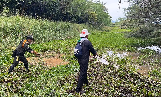 ¿Qué se necesita para ser Policía Nacional?