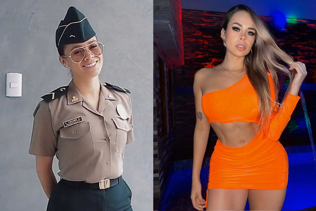 ¿Qué es el modelo policial?