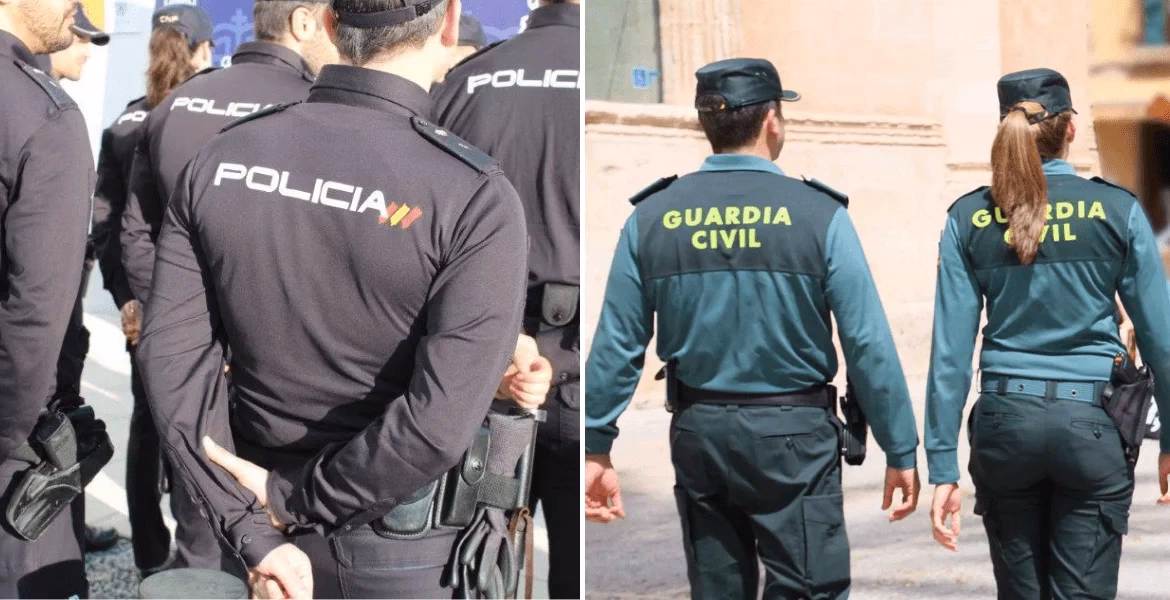 ¿Cuál es el objetivo de la Formación Profesional de los policías?