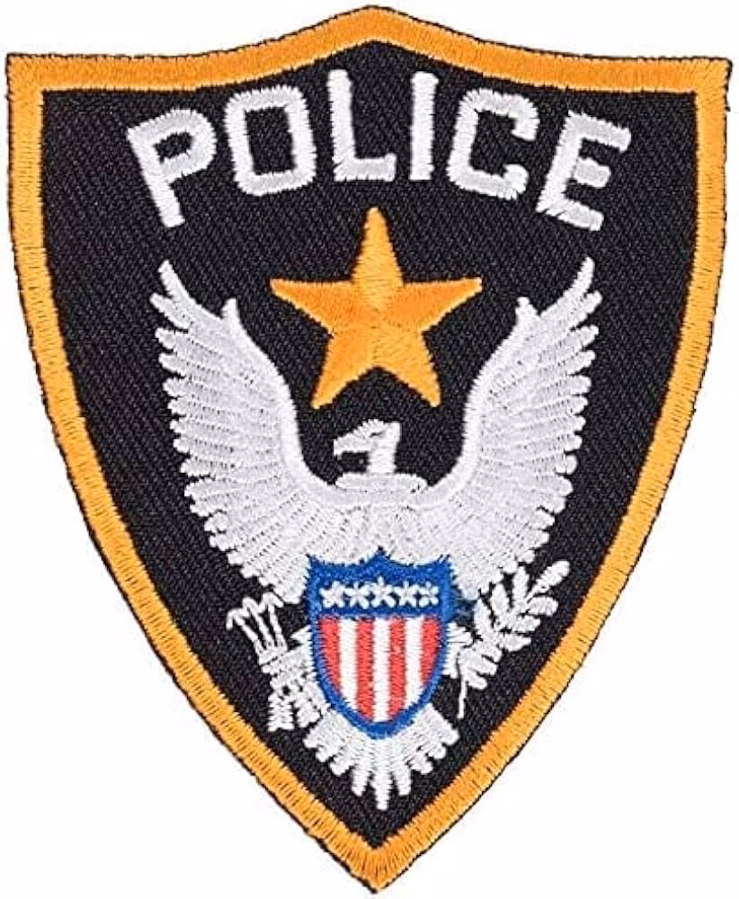 ¿Cuáles son los mejores escudos antidisturbios?