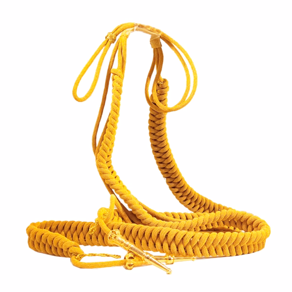 ¿Qué es el cordón de mando?