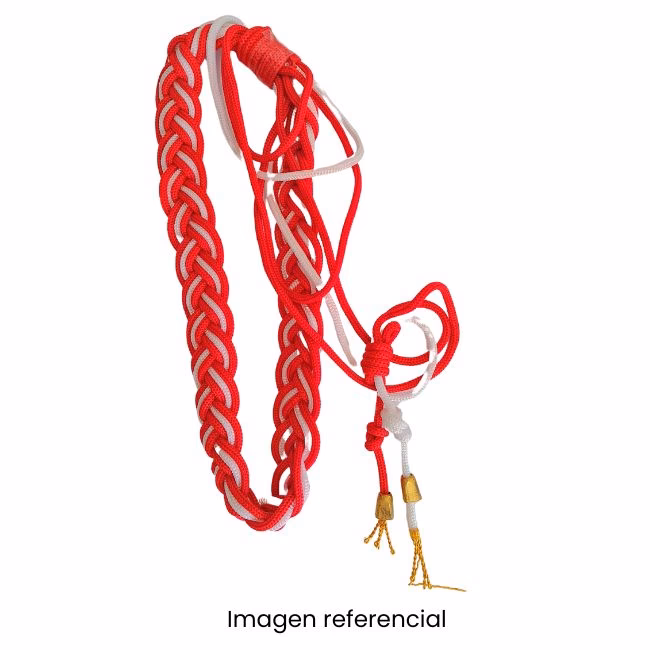 ¿Dónde se lleva la insignia de policía escolar?