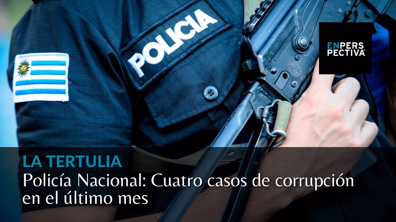 ¿Qué es la corrupción en entidades públicas como la Policía Nacional deColombia?