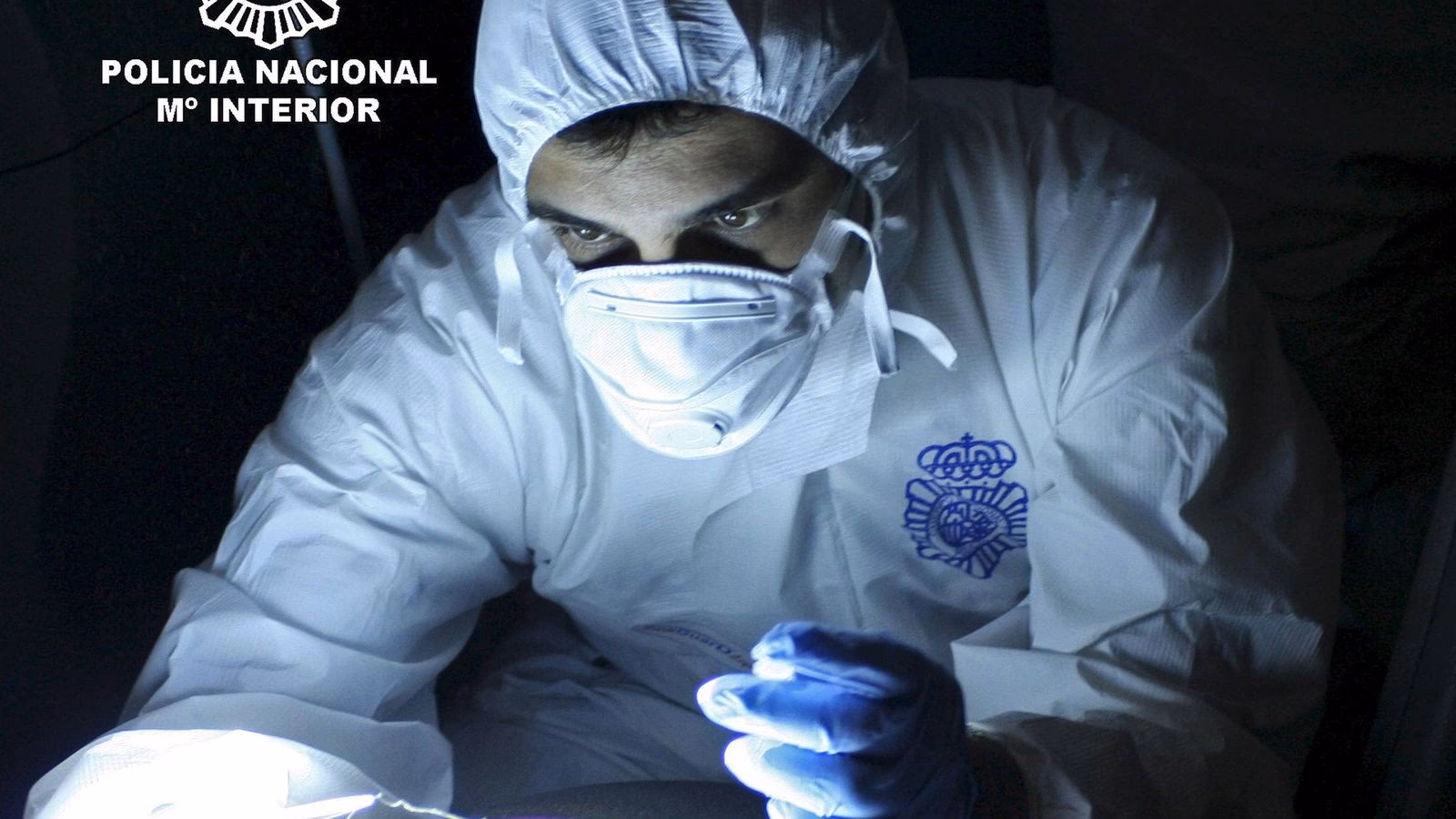 ¿Quién está obligado a prestar apoyo al sistema criminalístico policial?