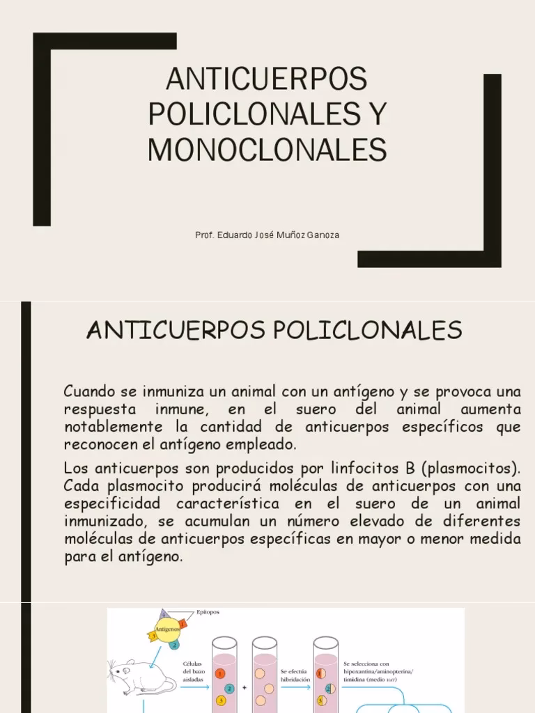 ¿Cuál es la diferencia entre los anticuerpos monoclonales y policlonales?
