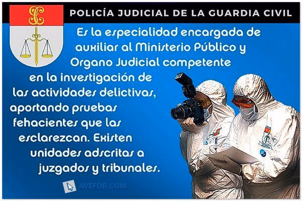 ¿Cuál es el objetivo principal de la Policía Judicial?