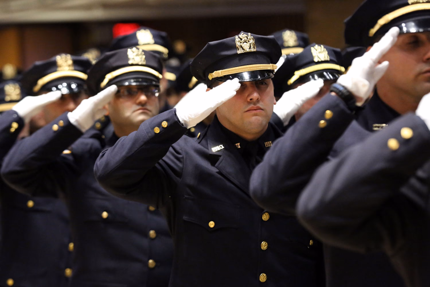 ¿Cuáles son los diferentes tipos de estudios de policía?