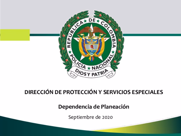 ¿Cómo se llama la dirección de servicios de protección especial?