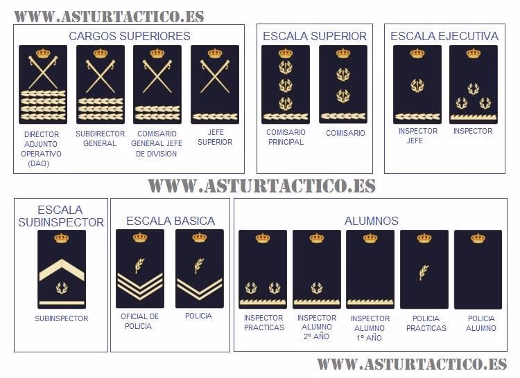 ¿Dónde se colocan las divisas?