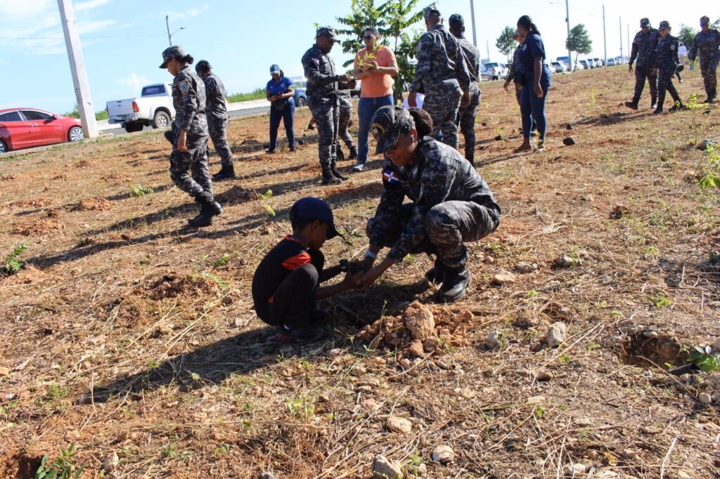 ¿Dónde se encuentran las siembras comerciales?