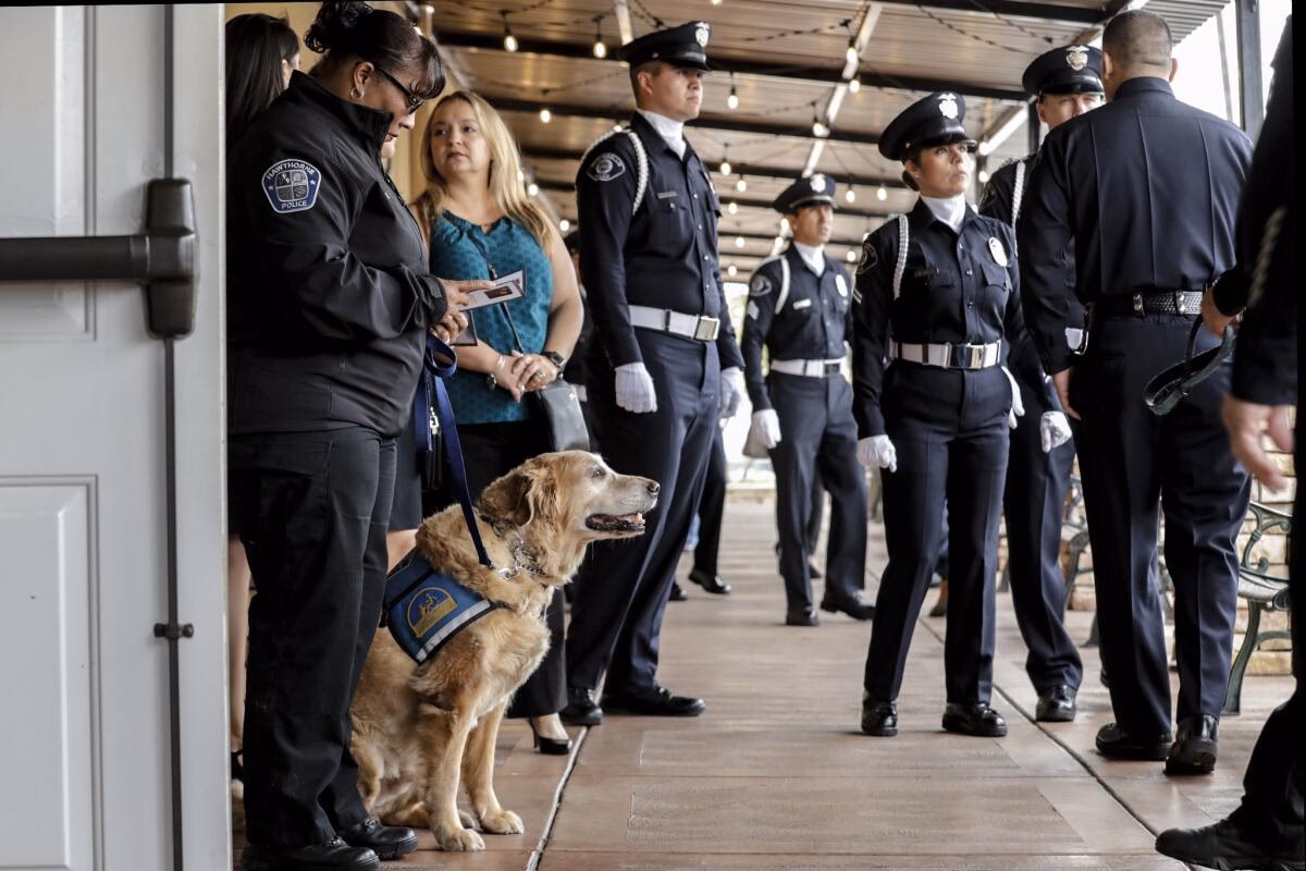 ¿Por qué la policía es un estado animal?