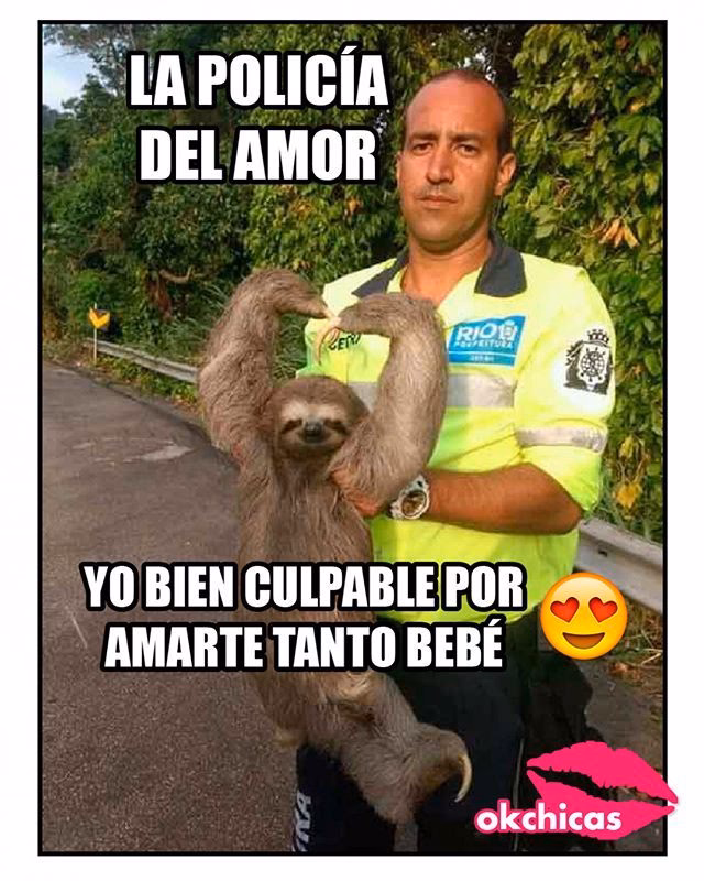 ¿Por qué me declaro culpable de amarte para siempre?