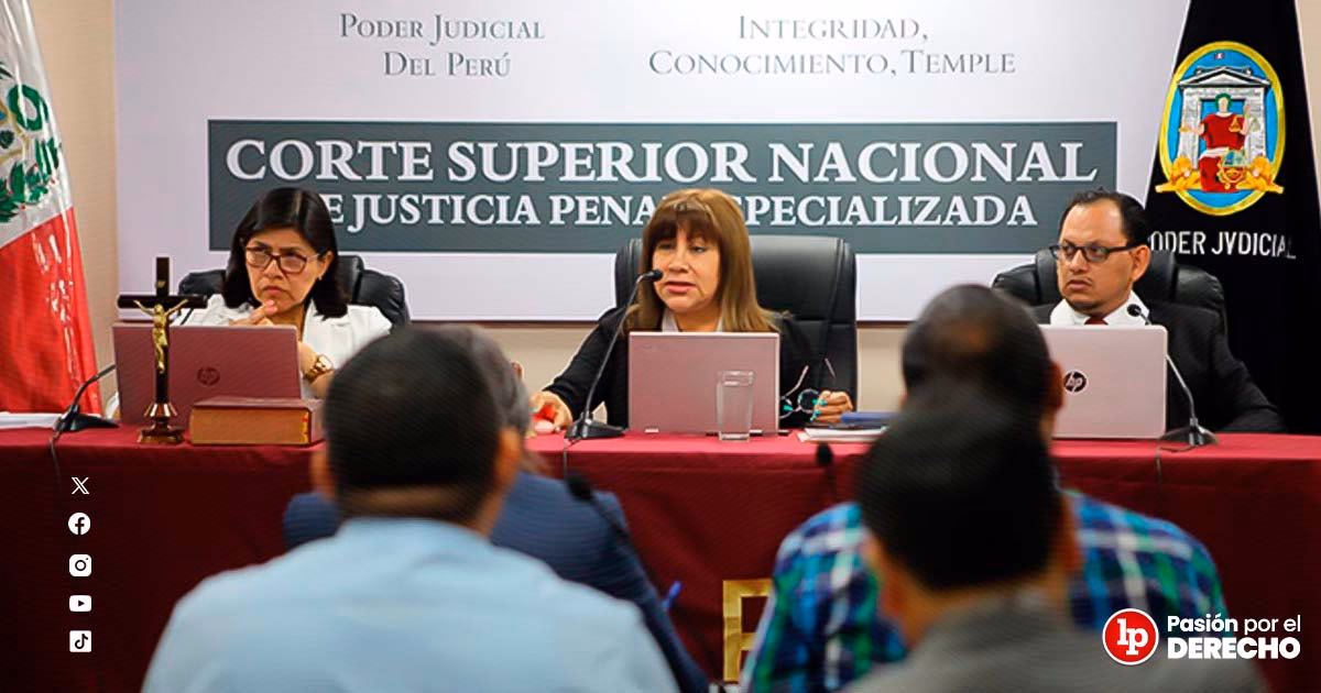 ¿Cuáles son los juicios públicos?