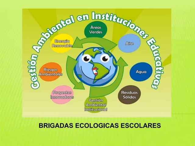 ¿Cuáles son las funciones de la Brigada Ecológica?