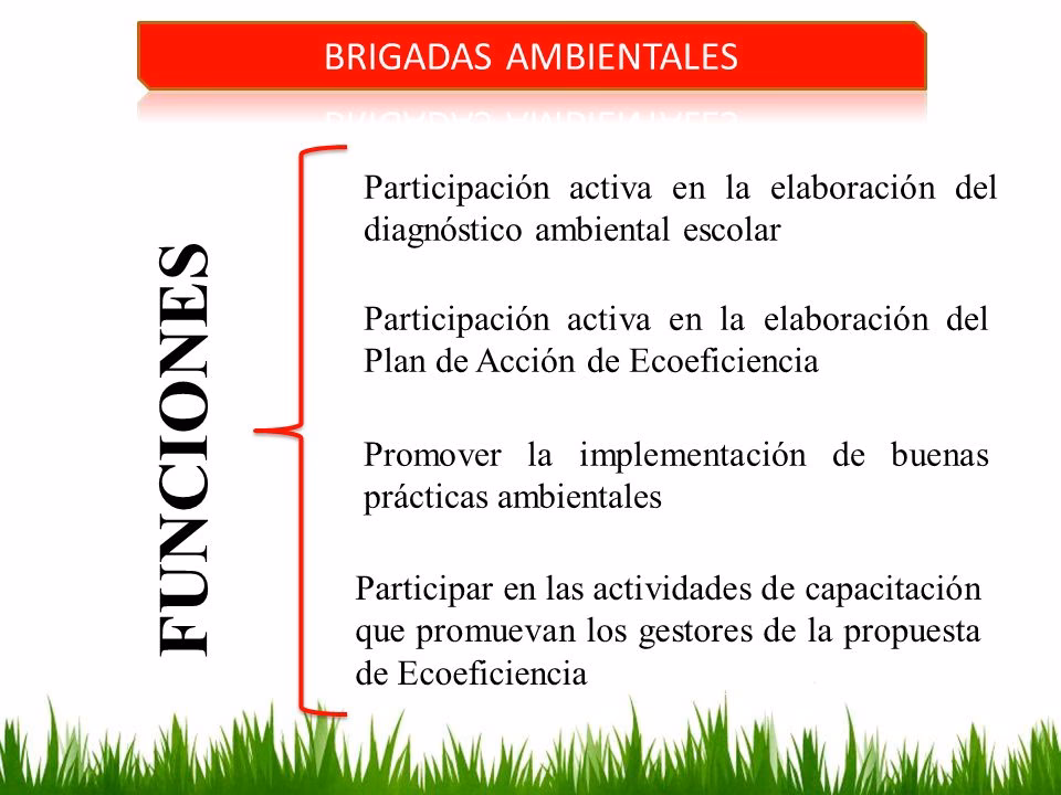 ¿Cuáles son los sitios de operación de las brigadas escolares?