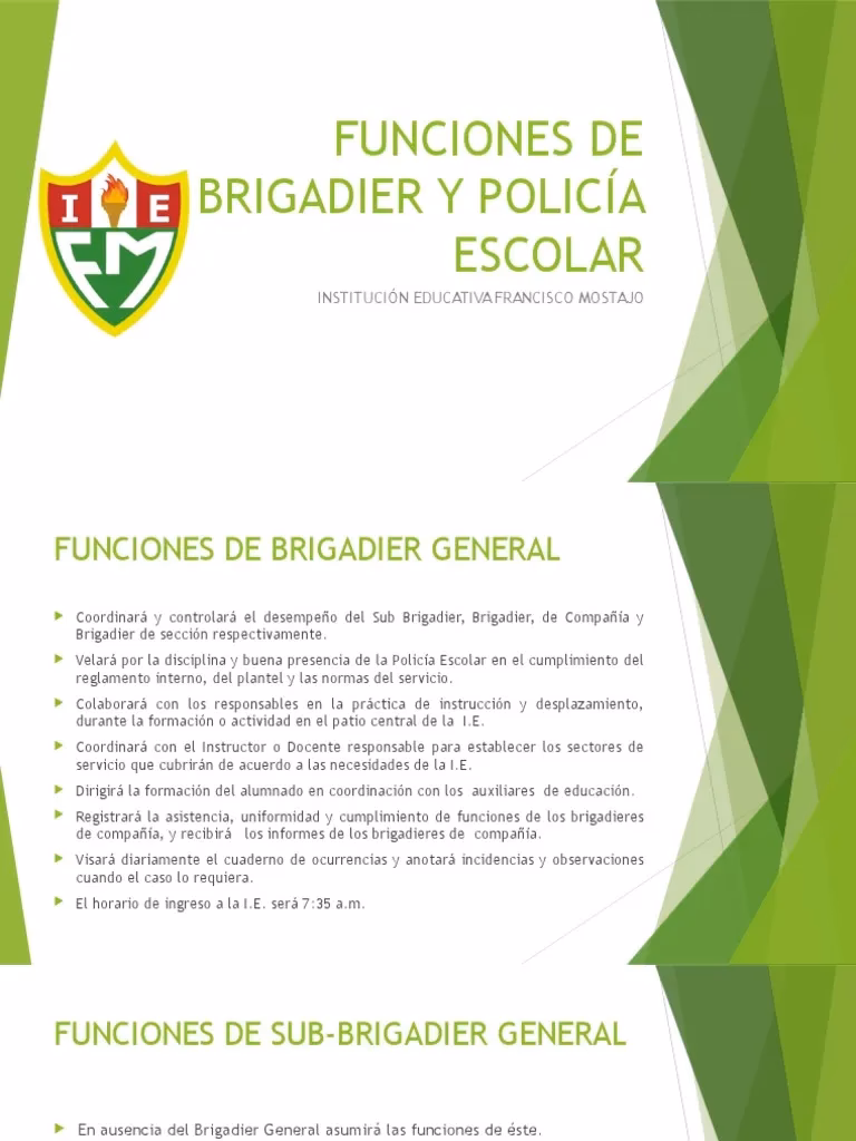 ¿Cuáles son las leyes que regulan la policía escolar?