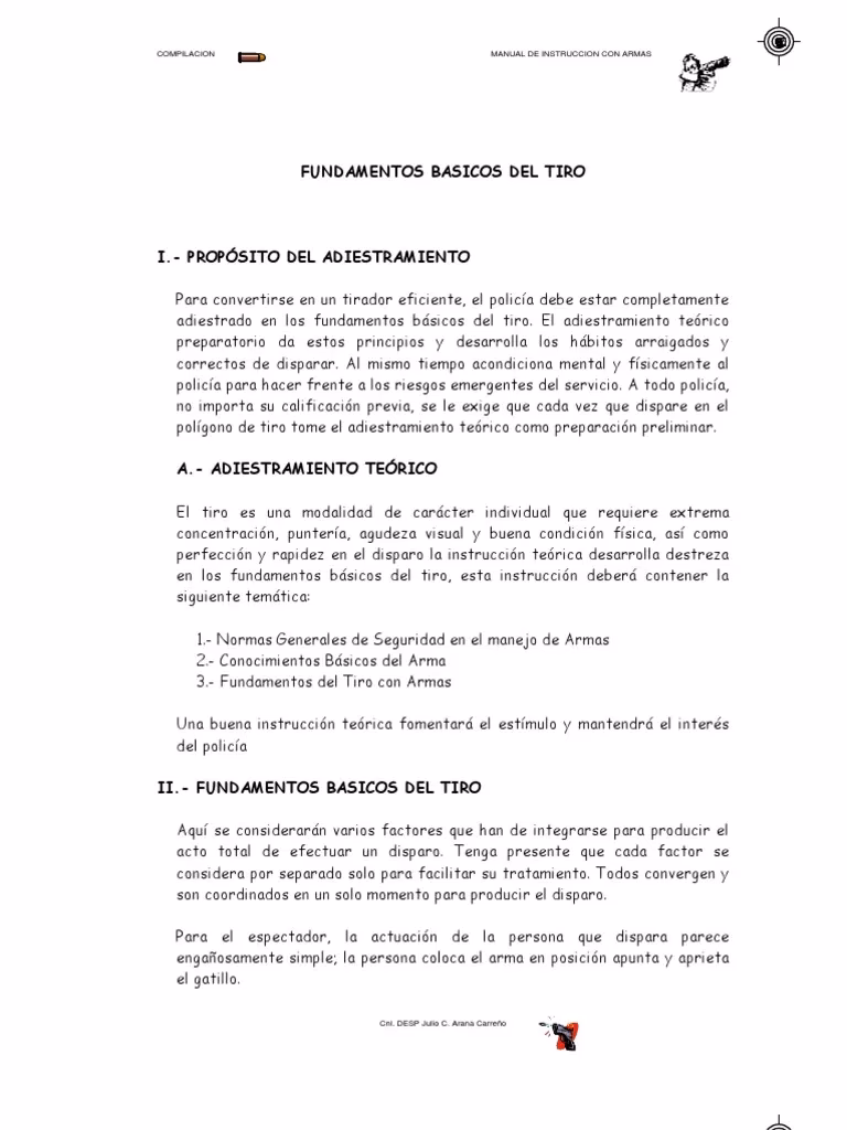 ¿Cuáles son los principios básicos del tiro?