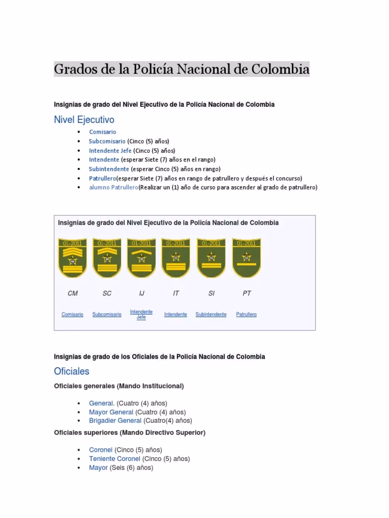 ¿Cuáles son los niveles de la Policía Nacional deColombia?