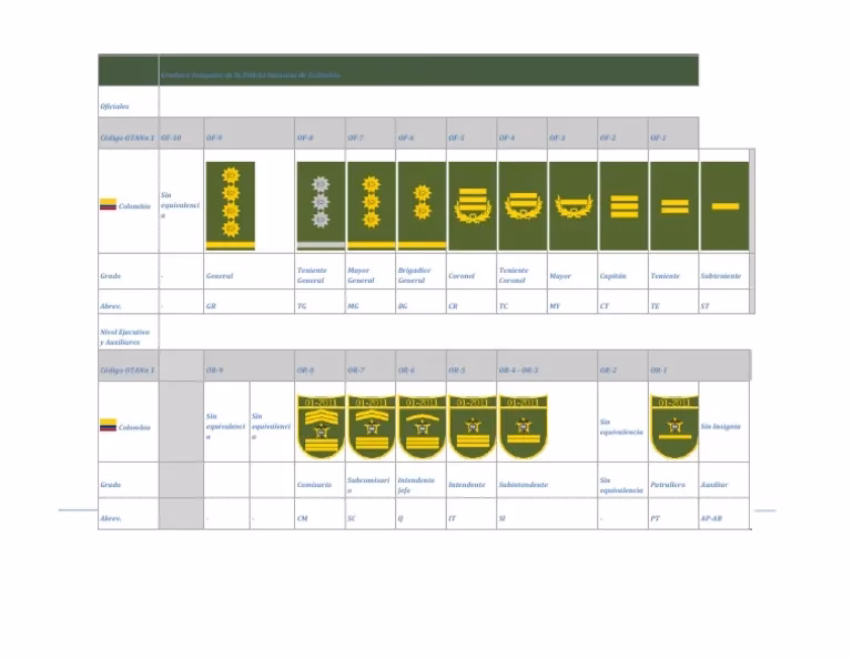 ¿Qué es el plan de carrera de policía?
