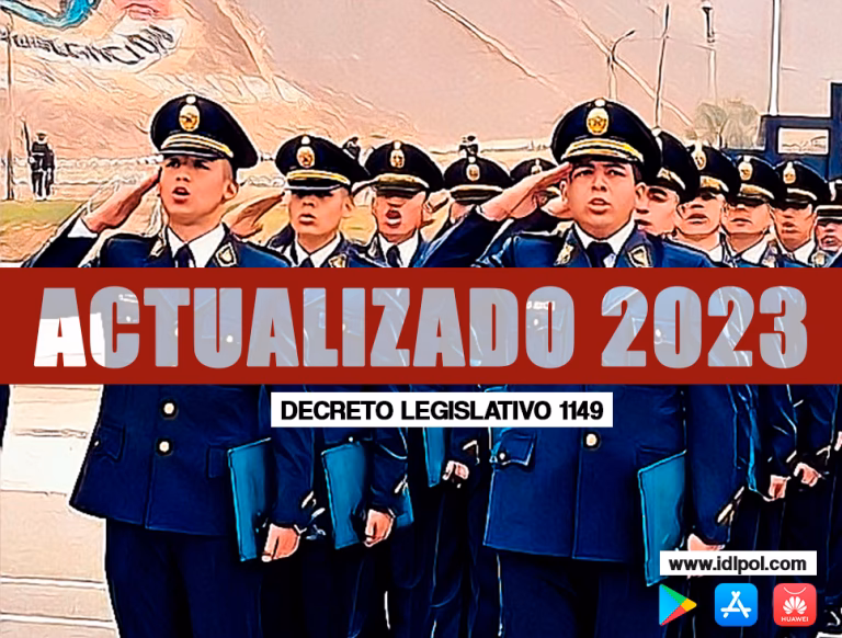 ¿Cuáles son los niveles de la carrera policial?