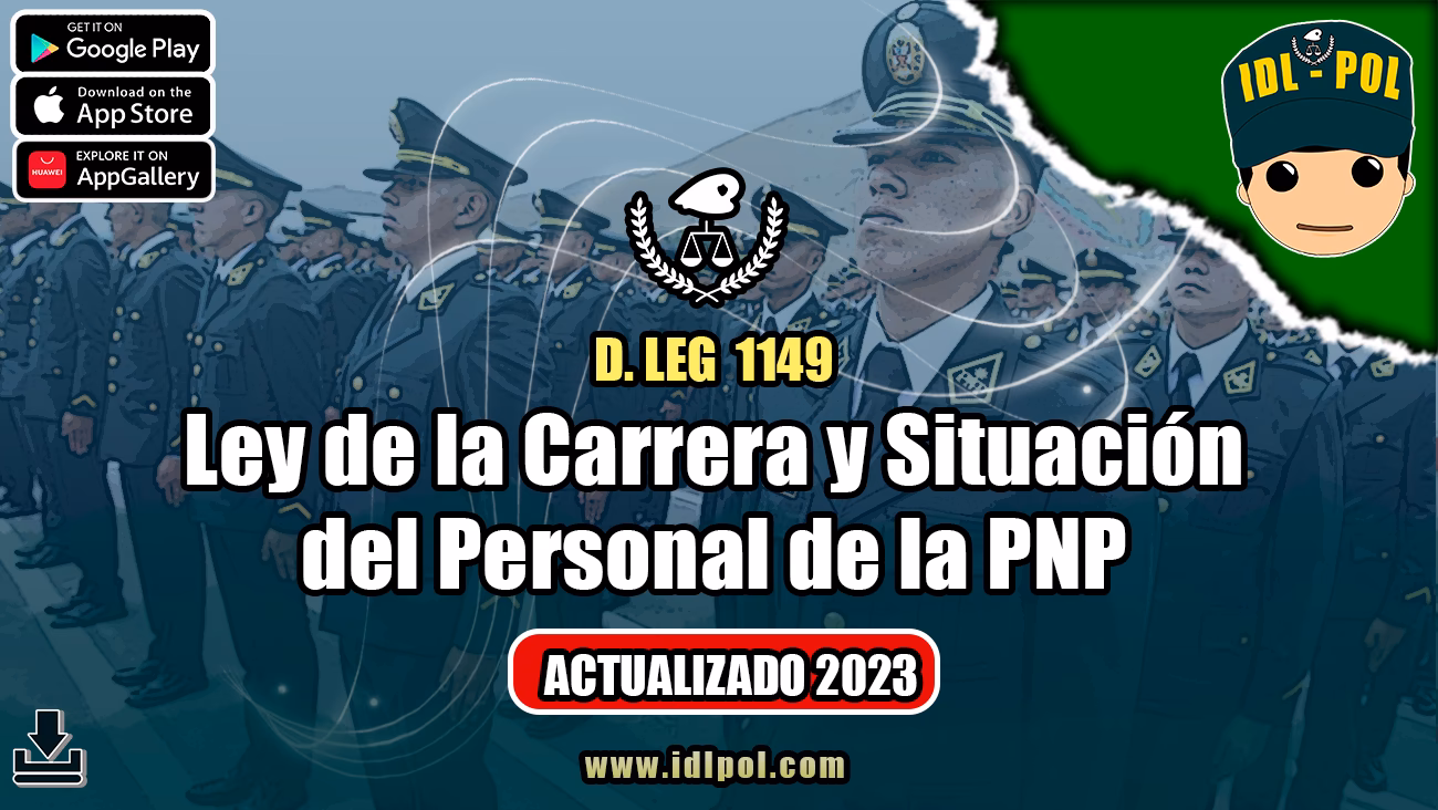 ¿Cuáles son los niveles de la carrera policial?