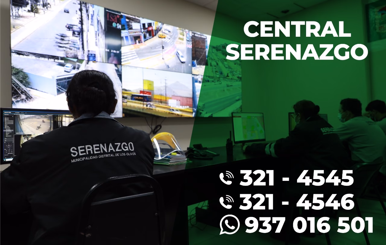 ¿Cuáles son las principales causas de mortalidad en el distrito Los Olivos?