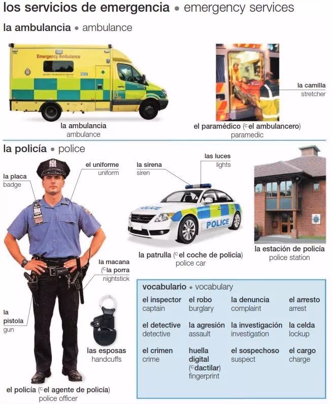 ¿Qué entiendes por la policía?