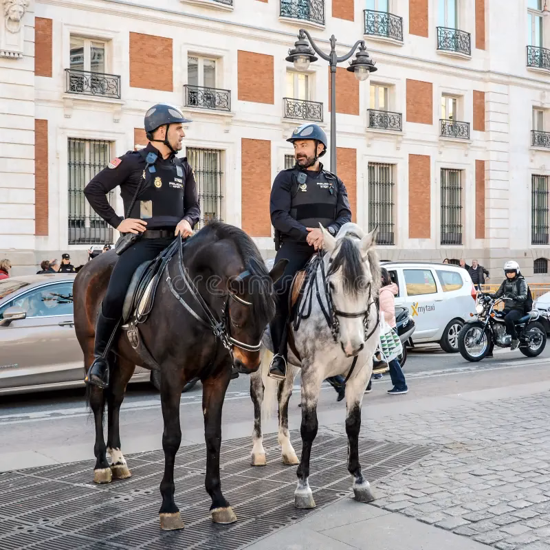 ¿Qué es el curso de policía a caballo?