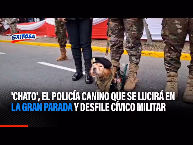 ¿Qué le pasó a Chato?