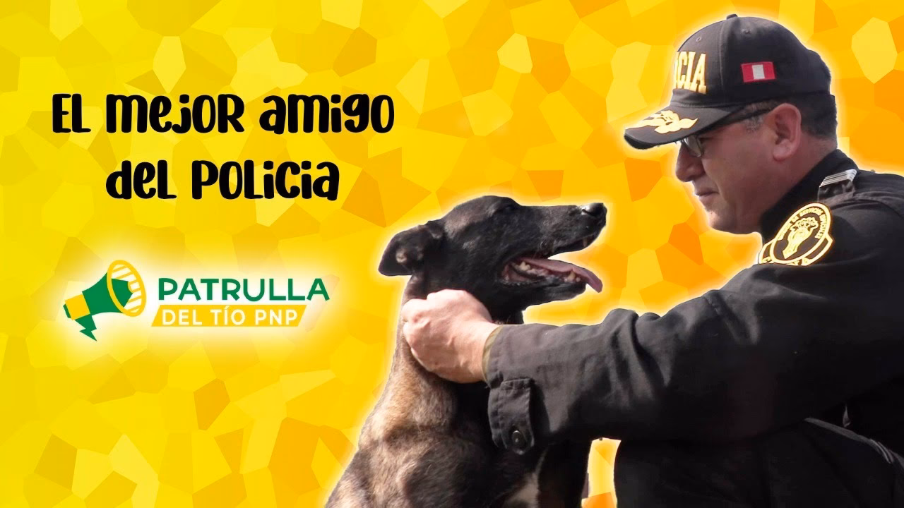¿Cuántos perros tiene la policía?