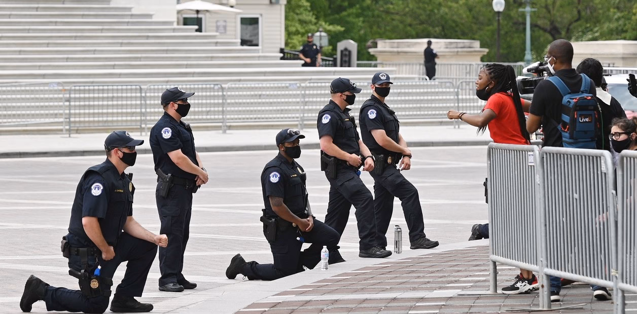¿Por qué la gente pide perdón?