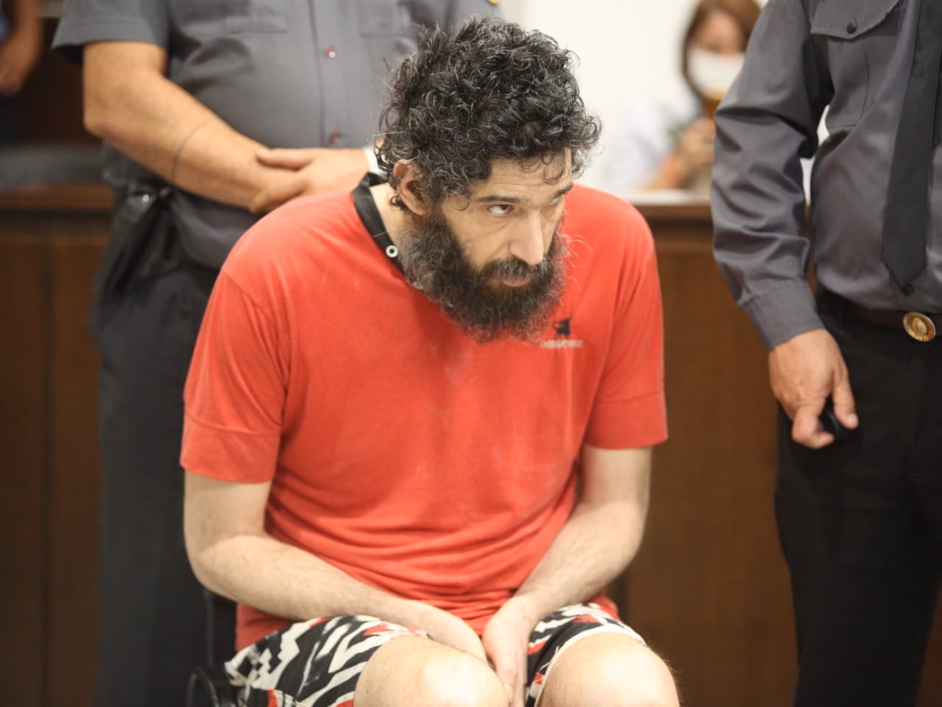 ¿Por qué los gatos regresan cuando los policías están en los hogares?