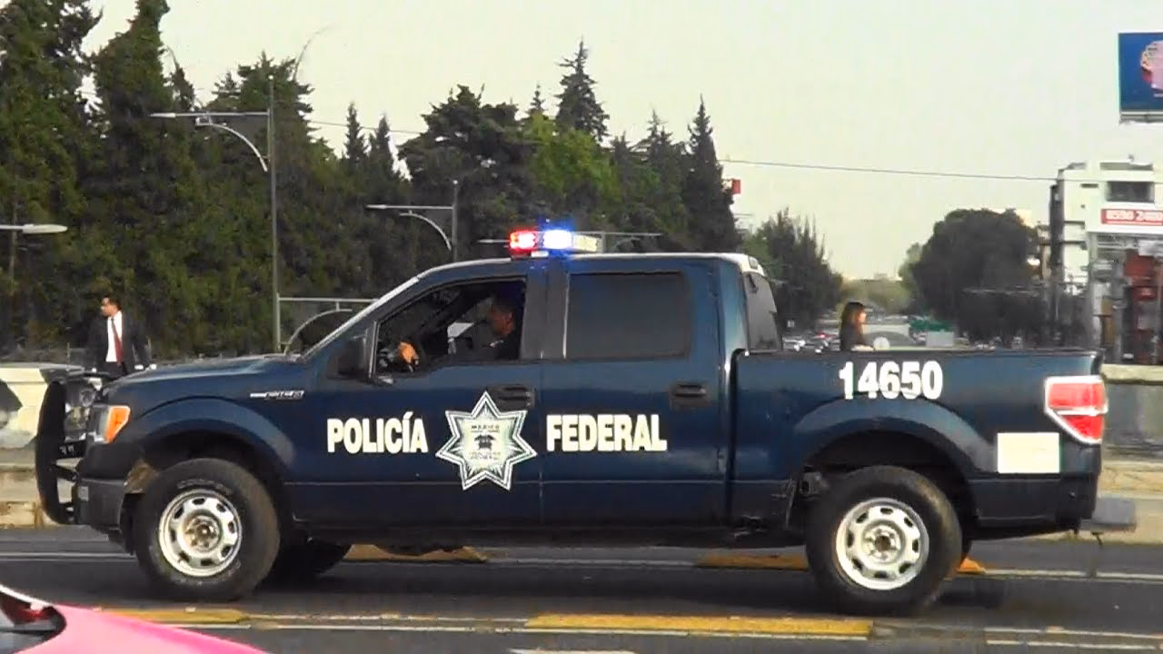 ¿Qué es la Policía Federal Preventiva?