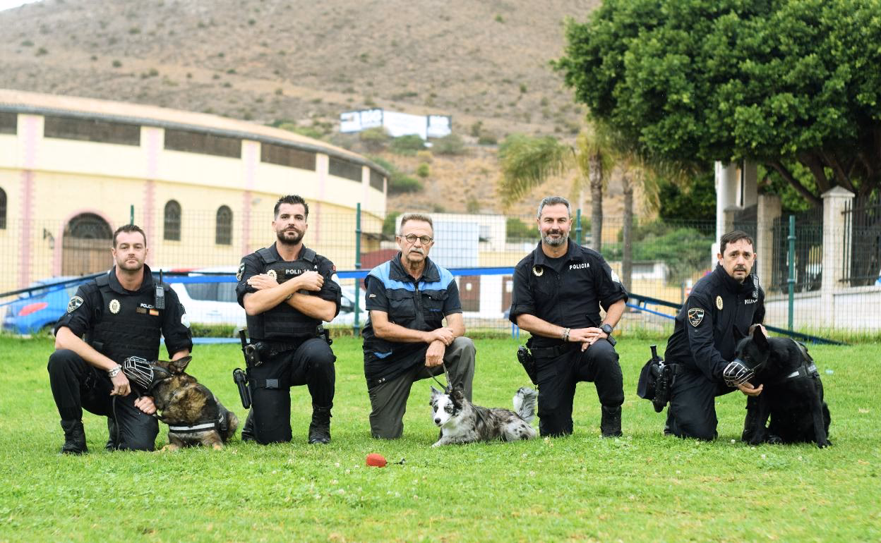 ¿Dónde se encuentra la policía local torrenalinos?
