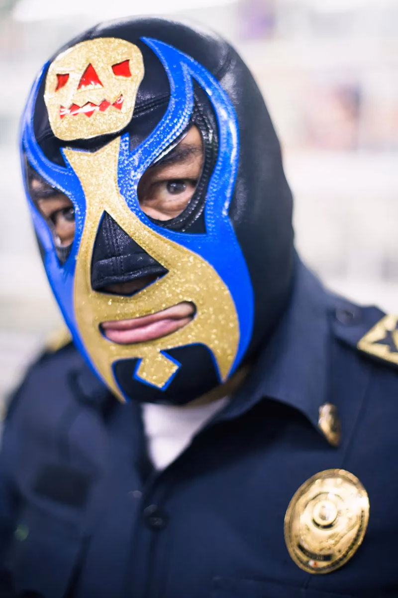 ¿Cómo ser un luchador profesional?