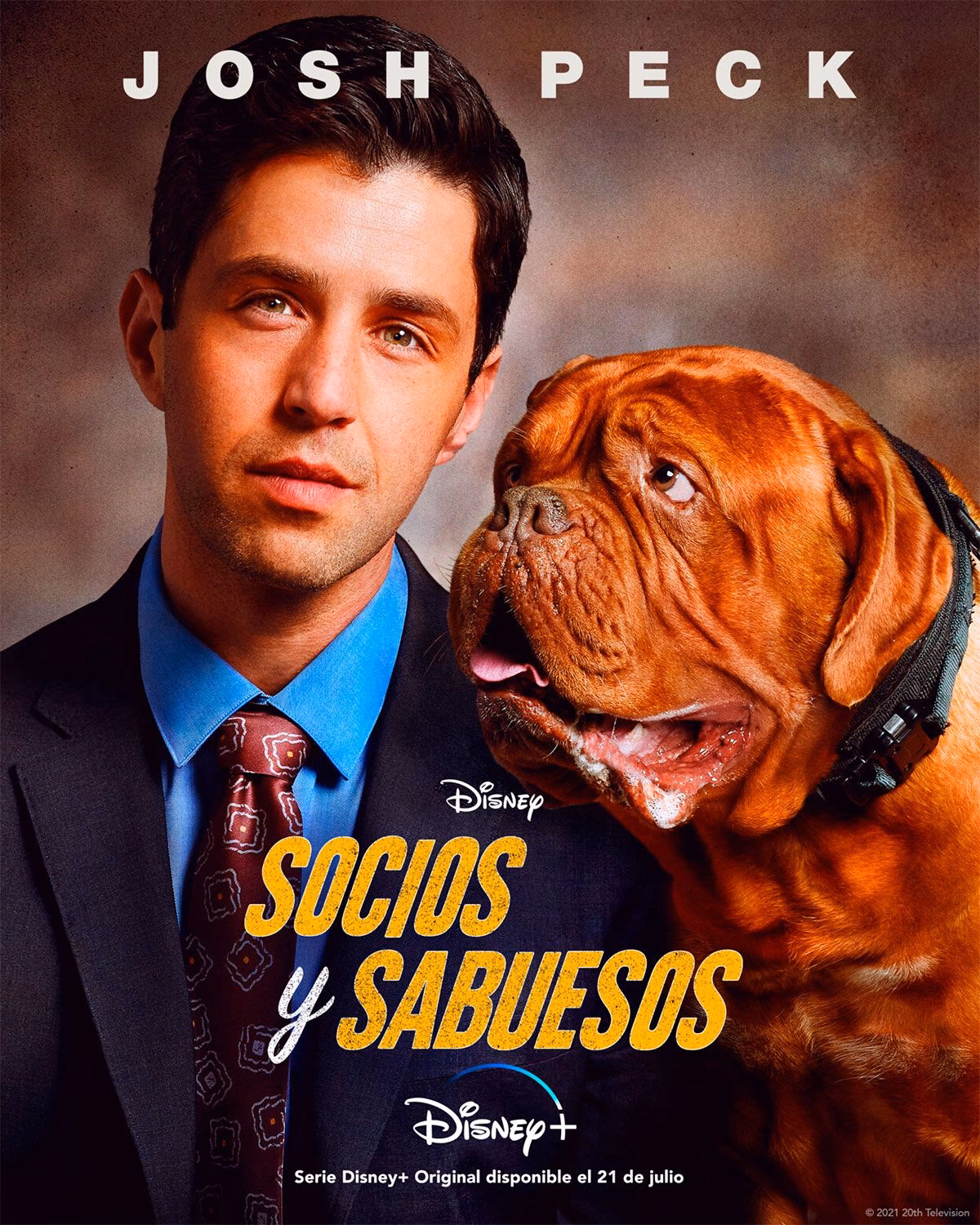 ¿Qué es socios y sabuesos?